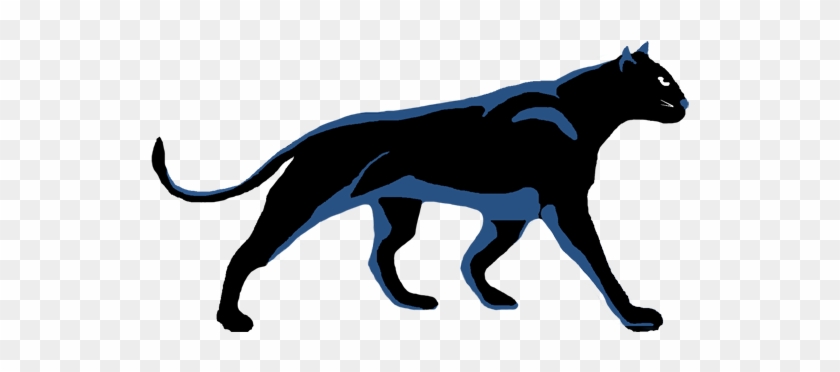 Black Panther #1239420