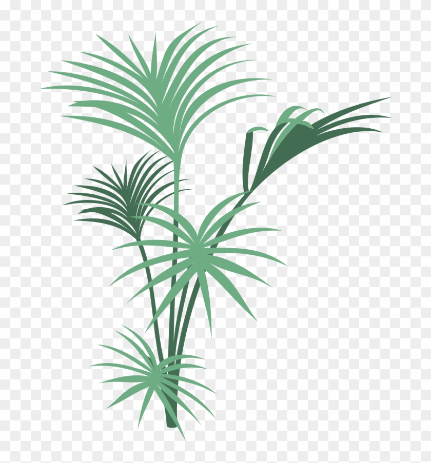 First, We Have The Return Of Our Field Correspondent, - Jungle Plants Png Transparent #1239511