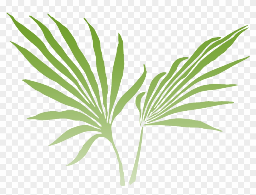 Of The Lush Rainforest And Offers Stunning Views From - Palm Frond Clip Art #1239526