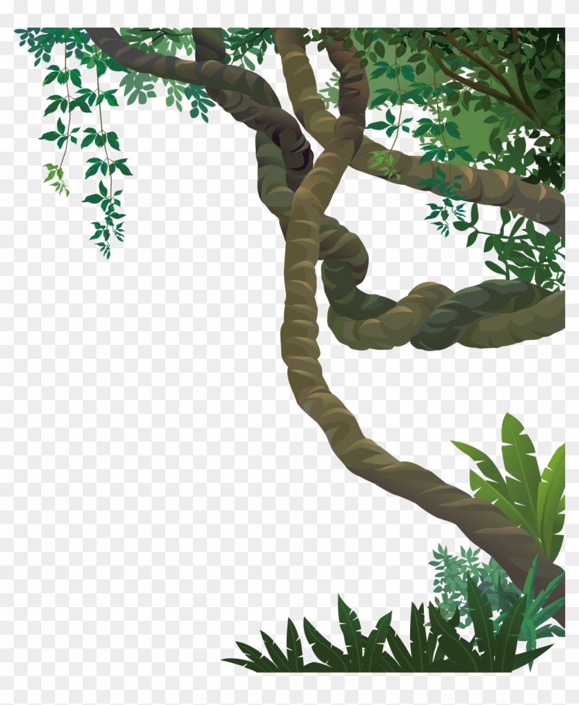 Landscape Jungle Euclidean Vector - Forest Vine Transparent #1239535