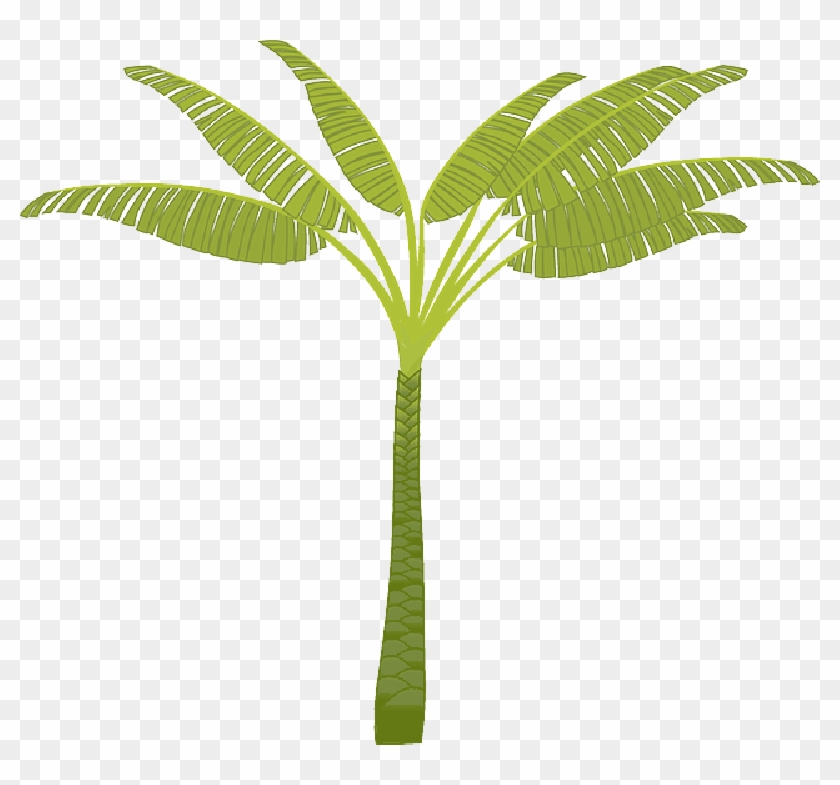 Mb Image/png - T Shaped Palm Tree #1239573