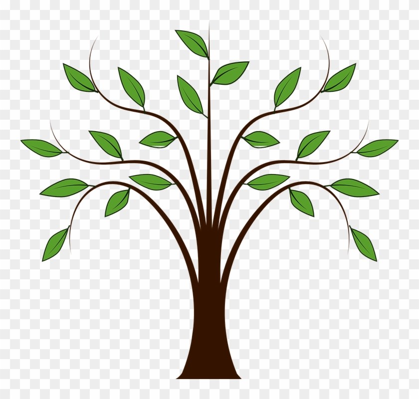 Jungle Plant Cliparts 15, Buy Clip Art - Cartoon Tree With Branches #1239576