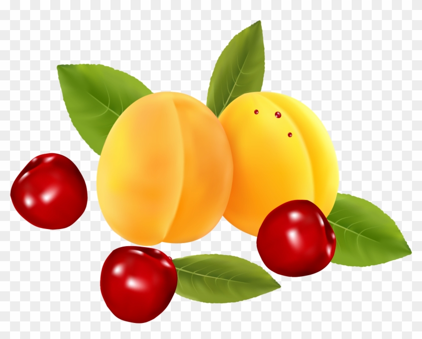 Peach Cherry Icon - Fruit #1239719