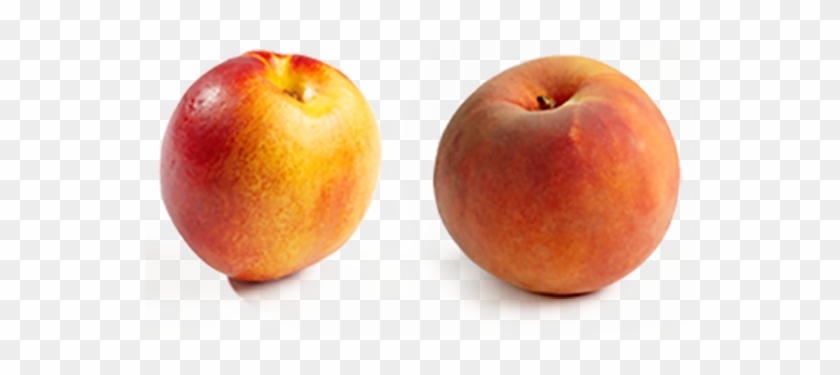 Difference Between Peaches And Nectarines - Peach #1239764