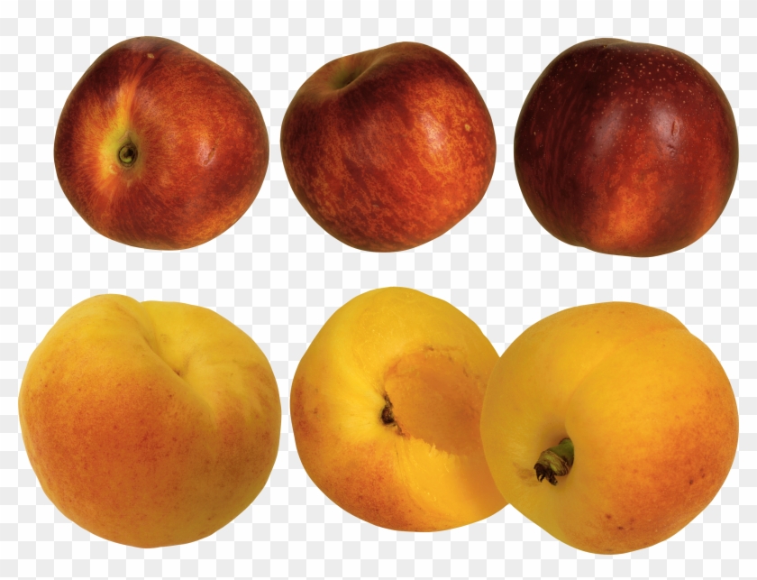 Peaches - Peach #1239830
