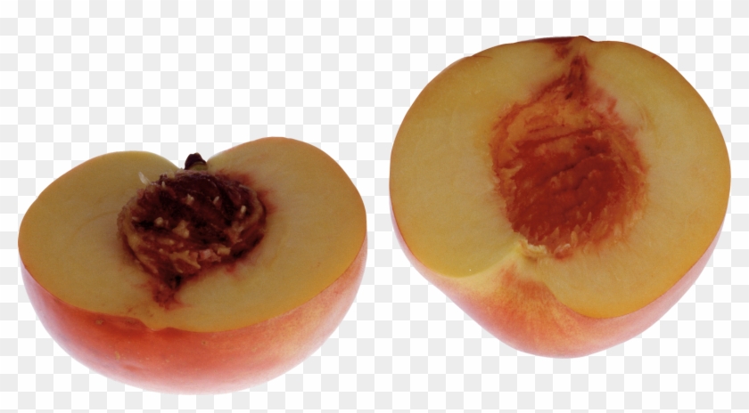 Peach - Nectarine #1239837