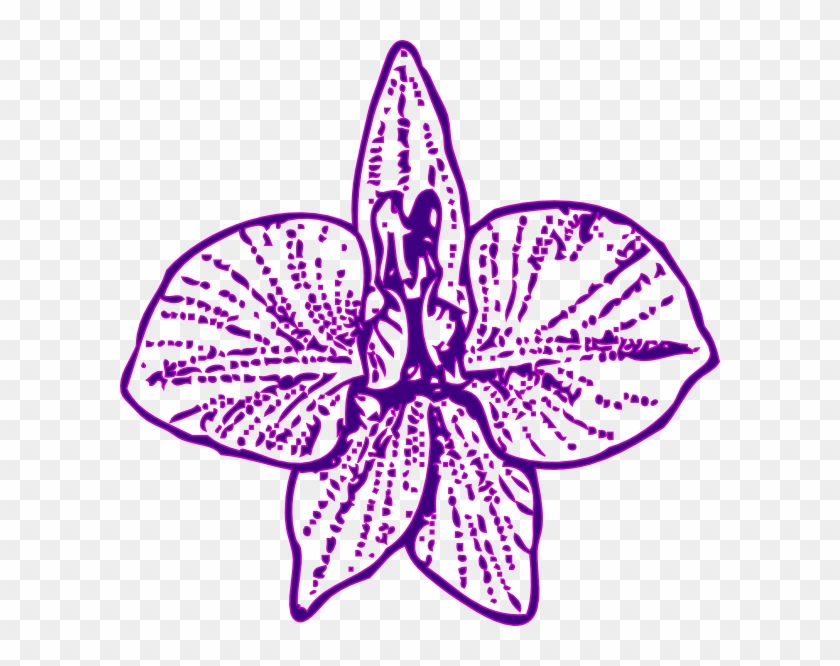 Orchid Outline Png #1239899