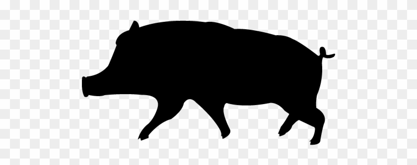 Vector Graphics #1240064