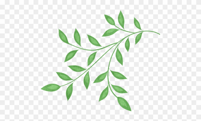 0 1808fb Af12a927 L - Branch And Leaves Clipart #1240406