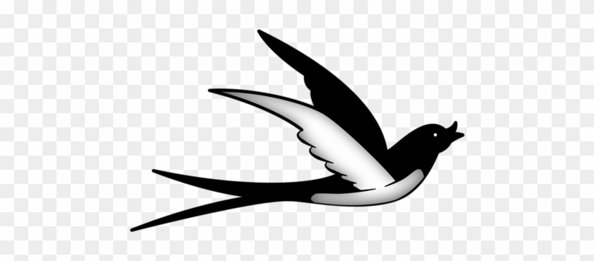 Swallows - European Swallow #1240699