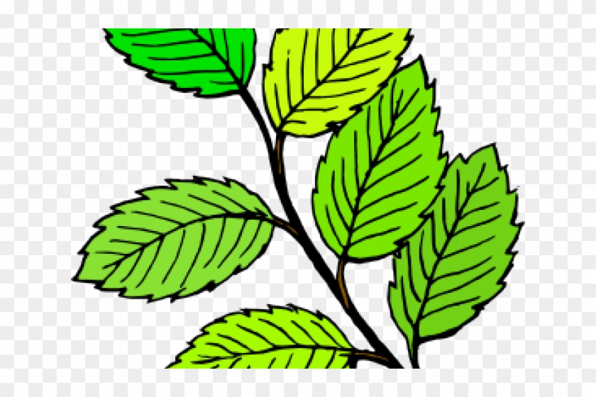 Leaf Clipart Flower - Leaves Clip Art #1240823