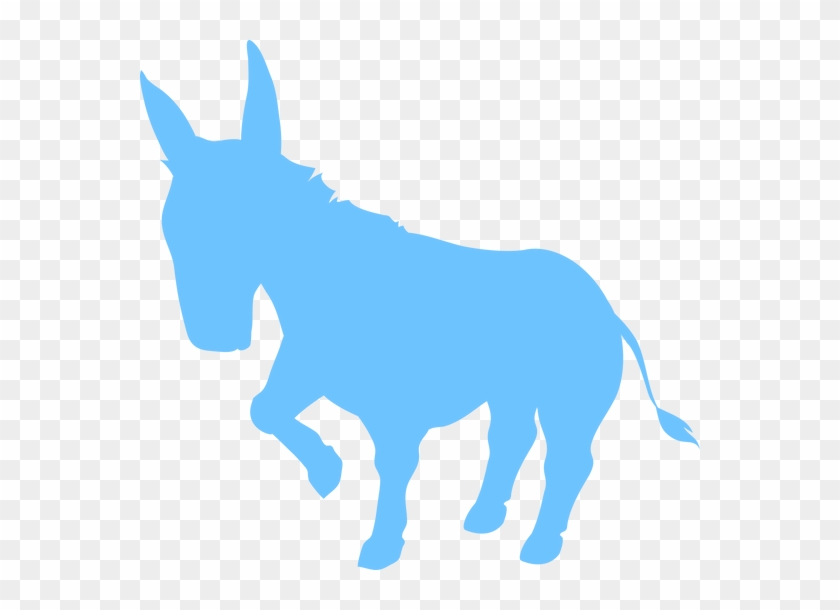 Dauphin County Democratic Committee - Burro #1241221