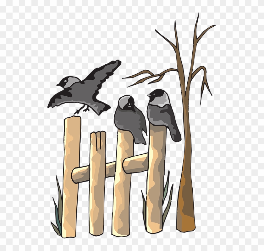 Cuckoo Clipart Bird On Tree - Dead Animals And Plants Clipart #1241276