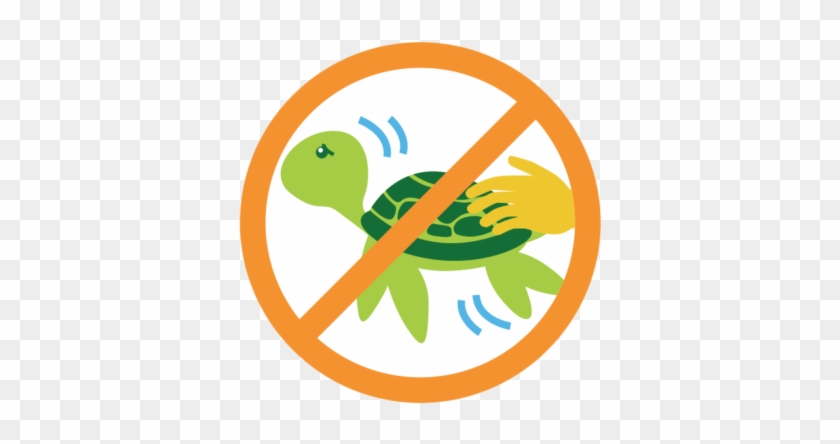 No Touching Marine Wildlife - Causes Of Lactose Intolerance #1241659