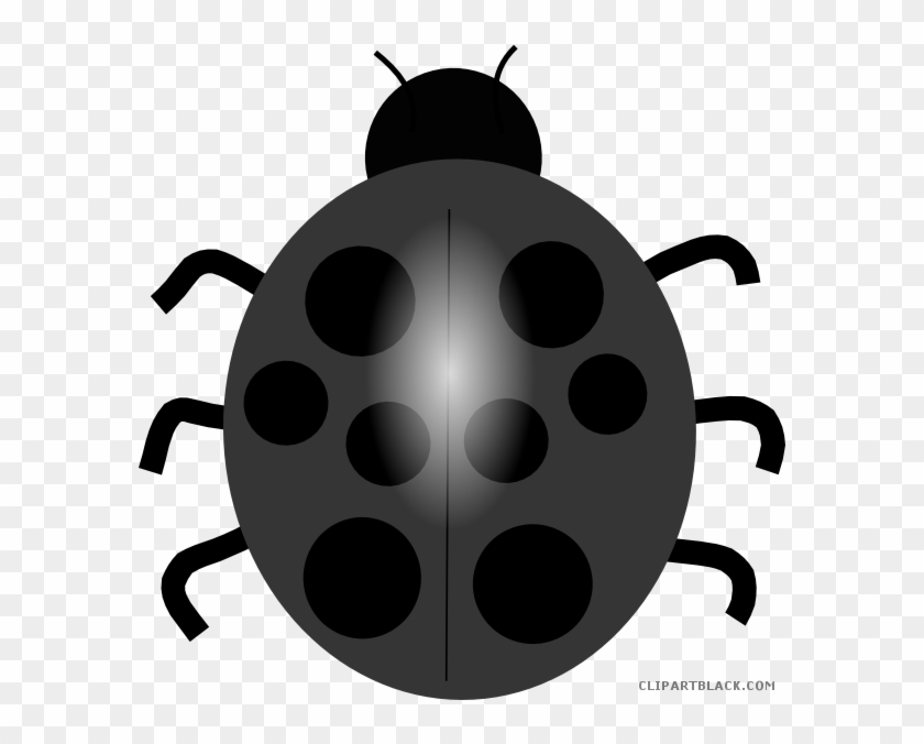 Ladybug Quality Animal Free Black White Clipart Images - Blue Lady Bug Clip Art #1241764