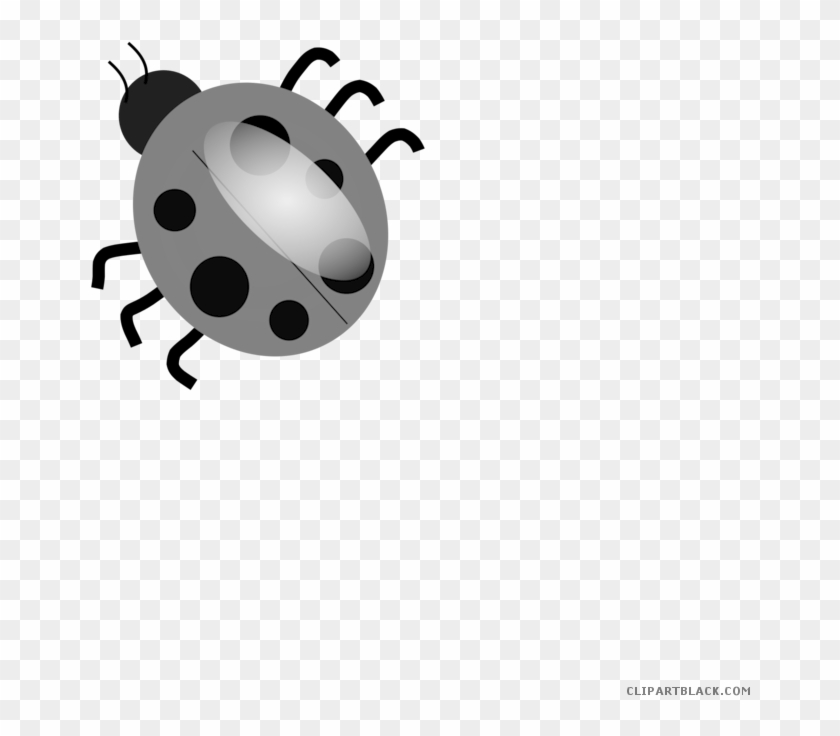 Cartoon Ladybug Animal Free Black White Clipart Images - Many Legs Does A Ladybug Have #1241786