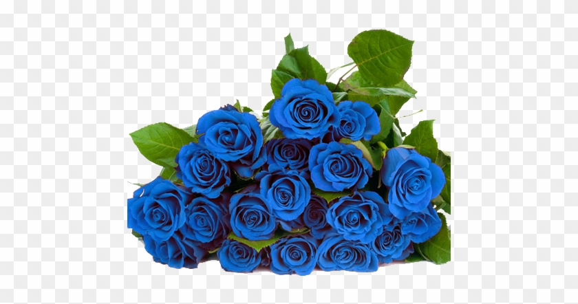 Blue Roses, Ideas - Blue Roses Png #1242220