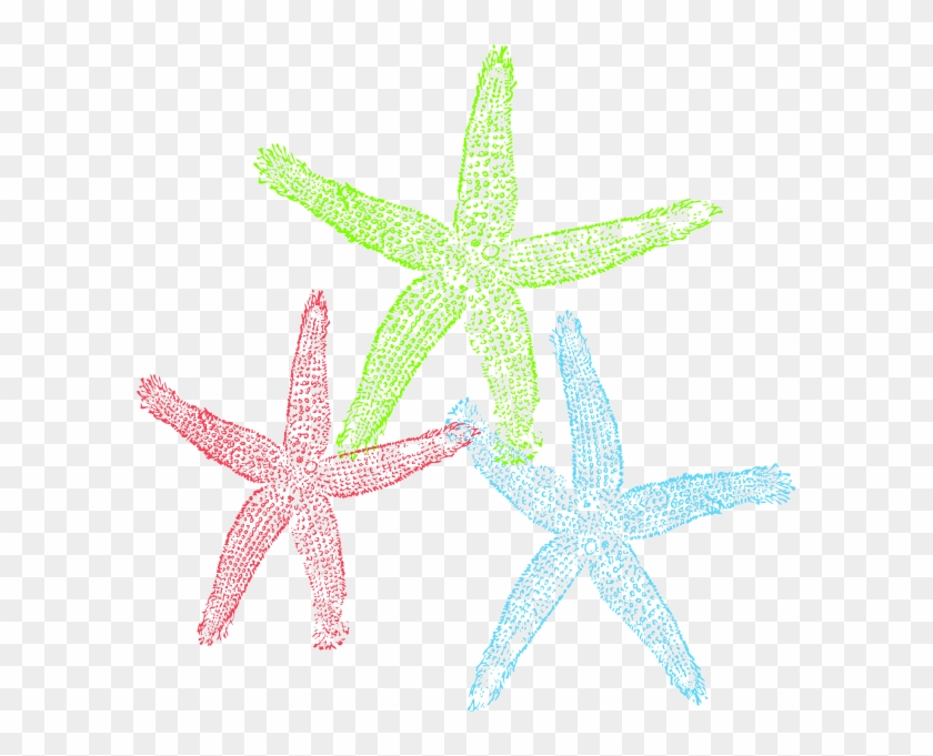 Free Set Of Three Colorful Starfish Clip Art - Starfish #1242677