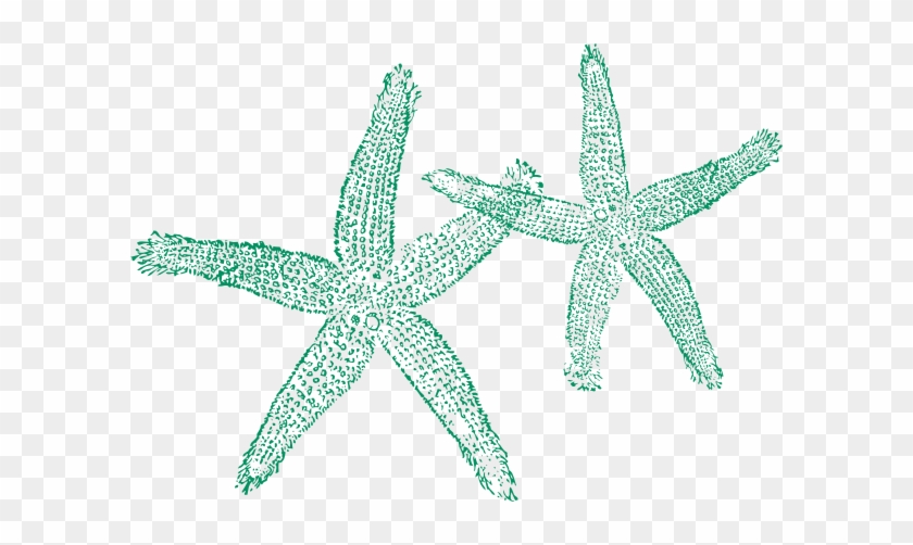 Peach Star Clip Art At Clker - Starfish Clipart No Background #1242682