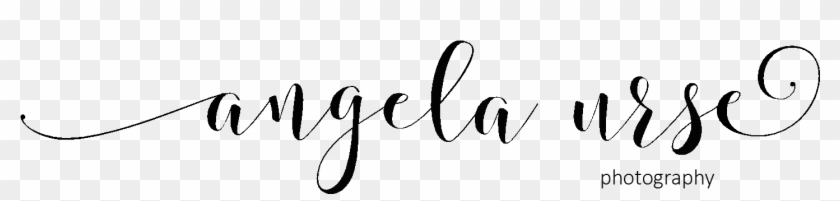 Calligraphy #1242765