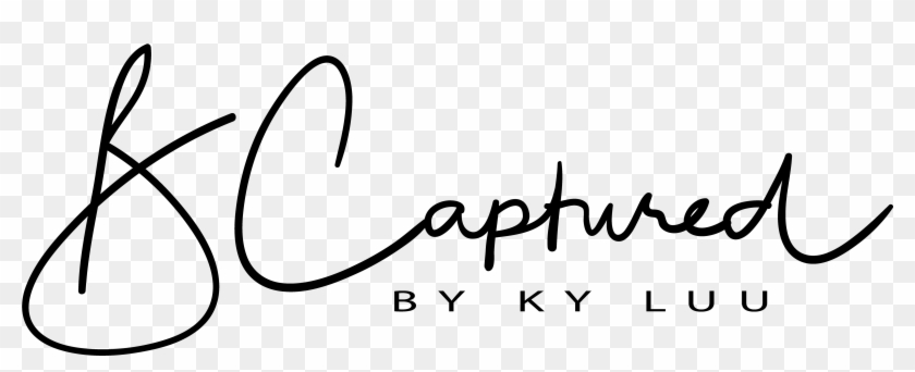 Calligraphy #1242773