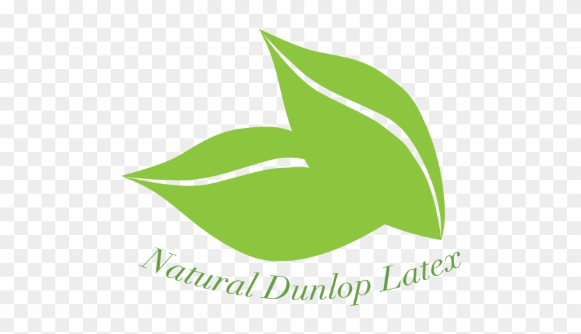 Dunlop Latex For Superior Support - Latex #1243129