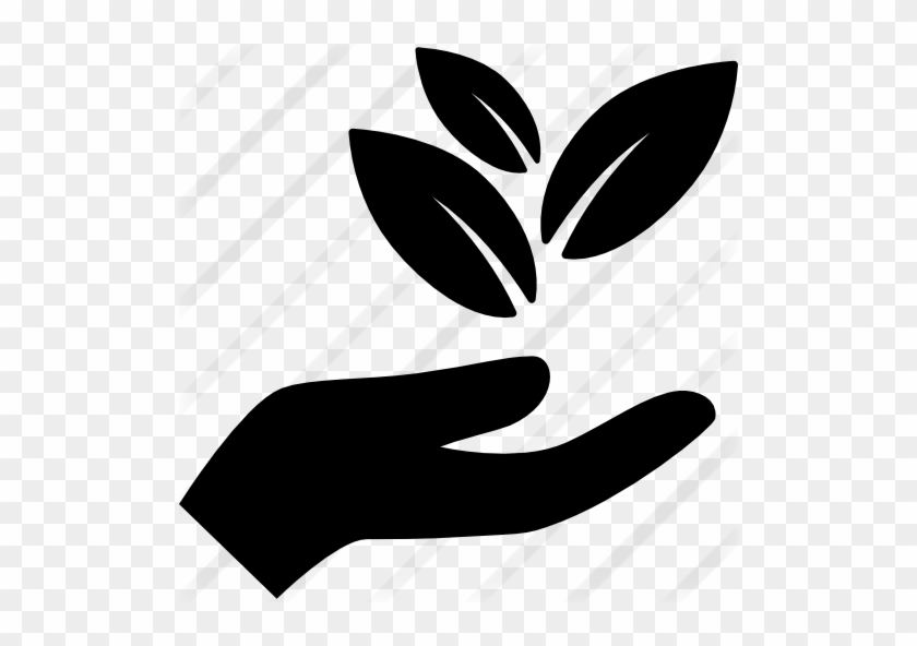 Hand Holding Leaves - Nature Icon Png #1243178