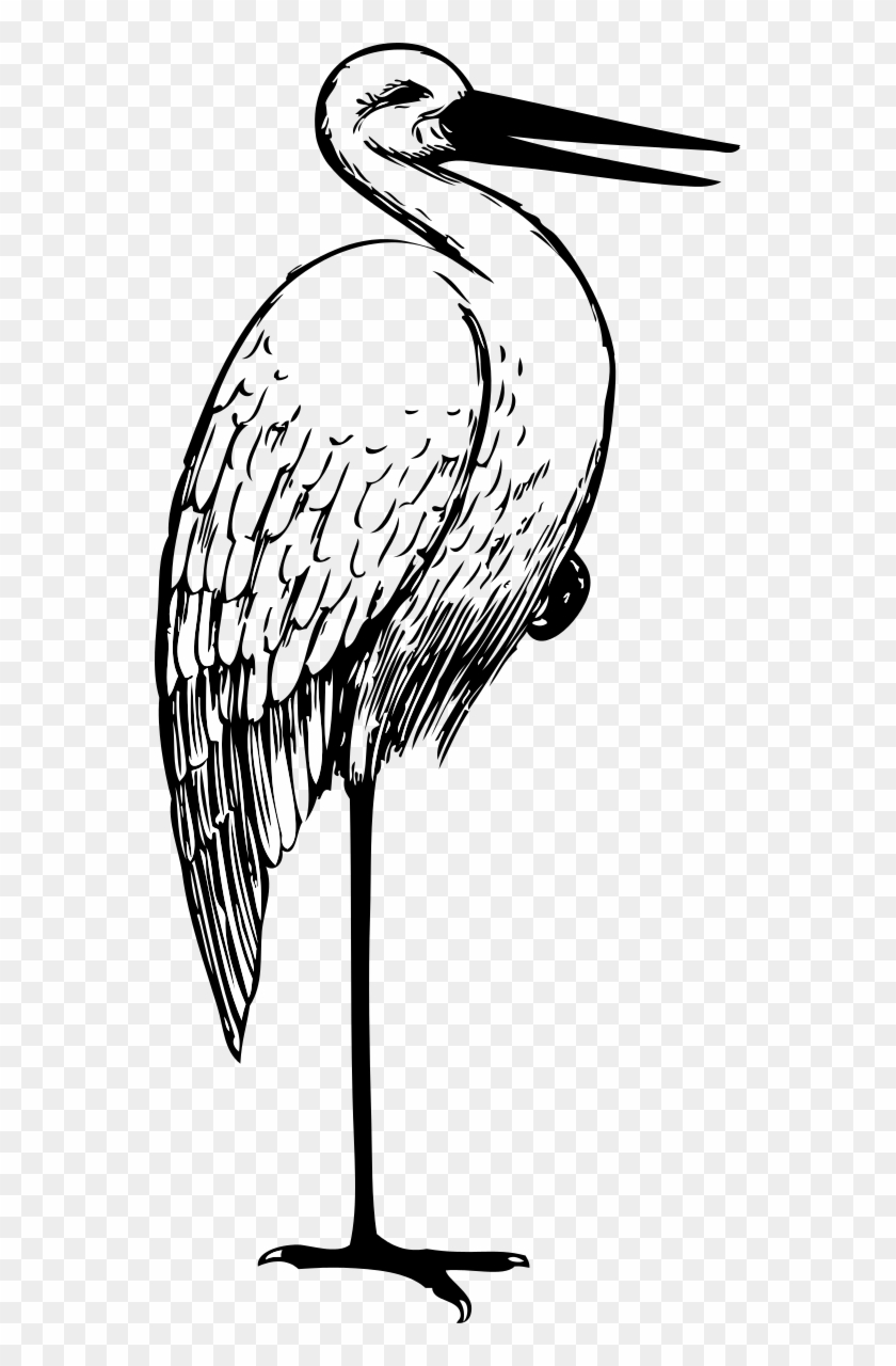 Stork Clipart By Johnny Automatic - Stork Clipart Black And White #1243301