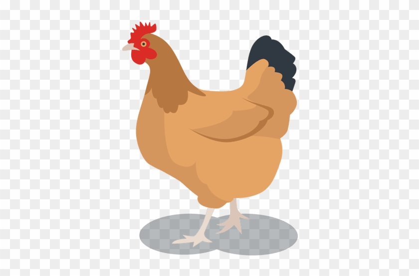 Gallina Animada Png #1243378