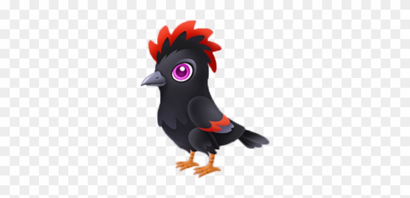 Lost Crow Juvenile - Chicken #1243544