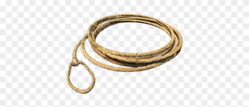 Lasso Small Loop - Lasso Transparent Png #1243951