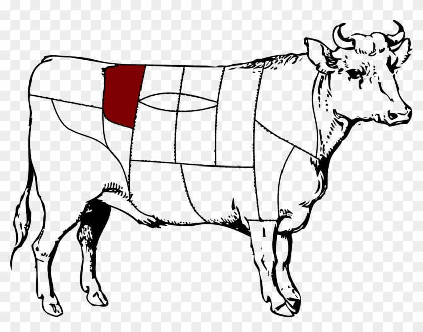 Steak Cuts, Wo Kommen Diese Eigentlich Her Wir Zeigen - Left Displaced Abomasum Cow #1243980
