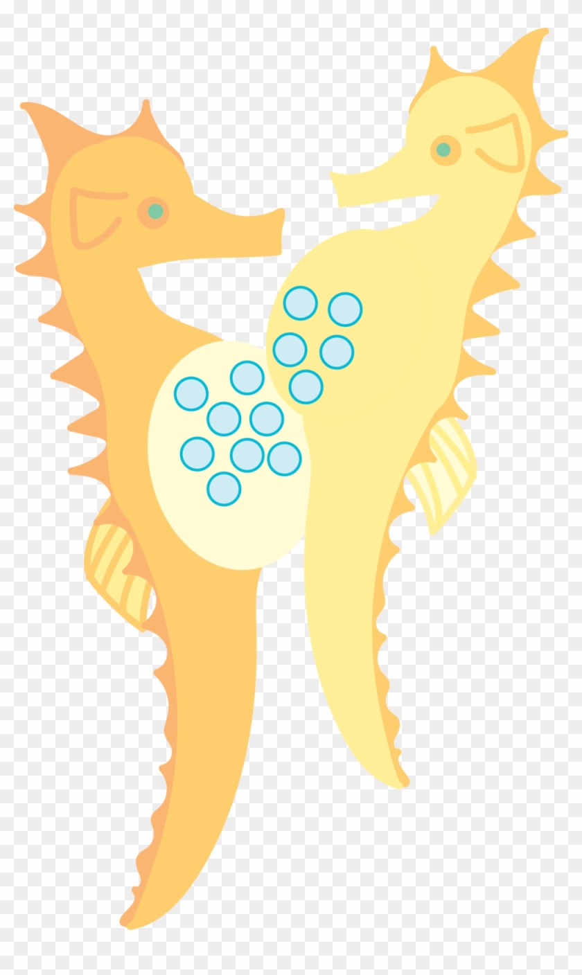 Seahorse Pregnant - Seahorse #1244209