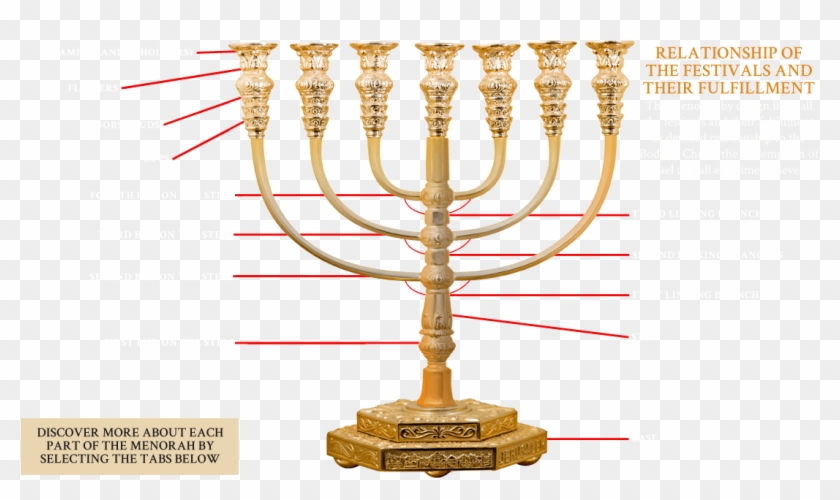 The Tree Of Life - Hanukkah #1244238