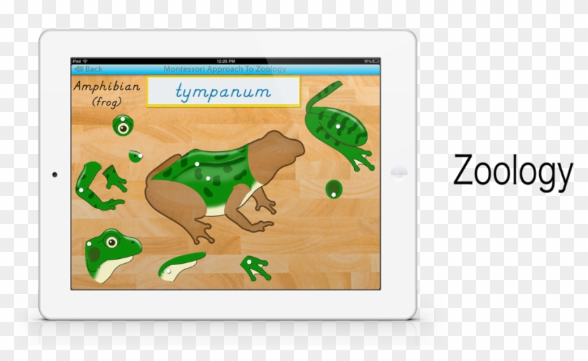 Parts Of Animals App By Mobile Montessori - Parts Of Animals App By Mobile Montessori #1244244