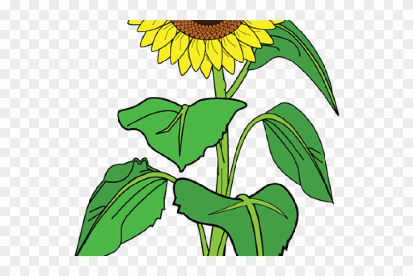 Sunflower Clipart Name - Sunflower With Hearts Tote Bag, Adult Unisex, Natural #1244377