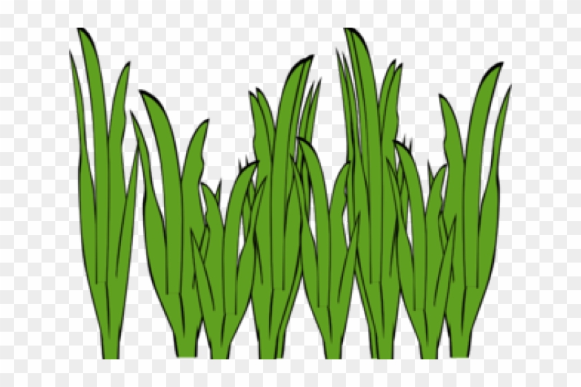 Sea Grass Clipart Cute - Seaweed Clipart #1244400