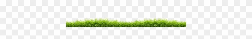 Lawn Clipart Small Grass - Grass #1244404
