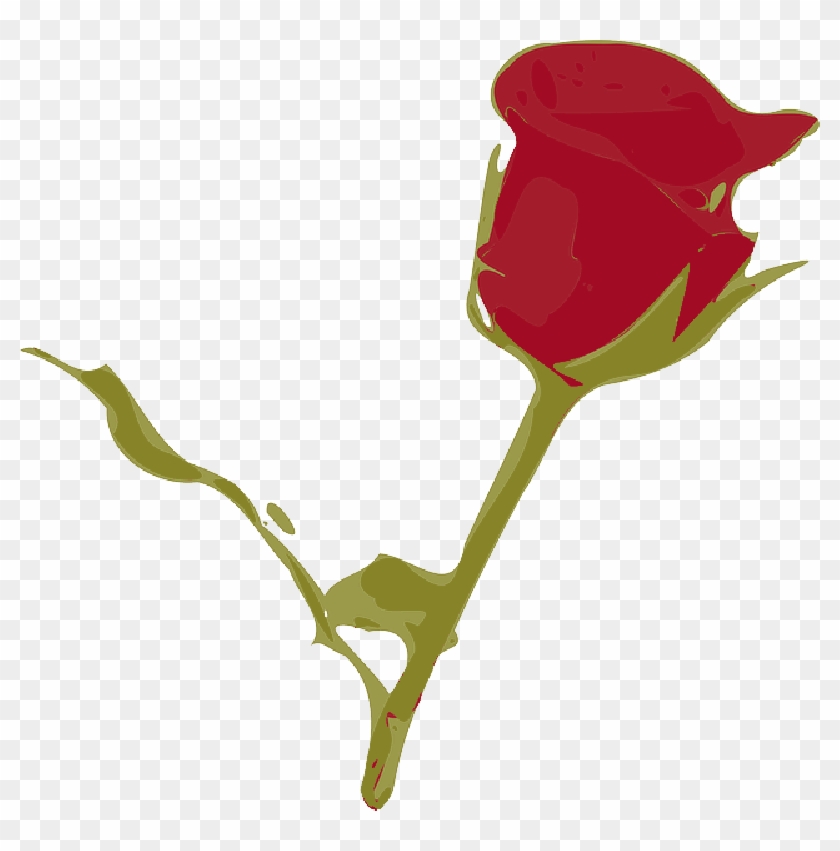 Red Rose, Rose, Flower, Red, Rosa, Plant - Rose #1244538