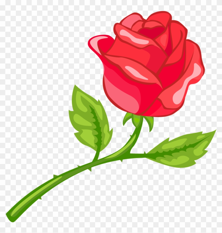 Garden Roses #1244543