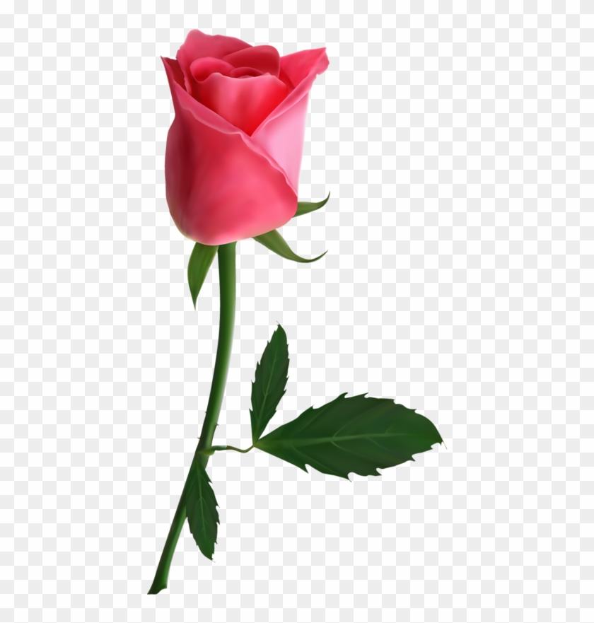 Png 工笔 素材 - Pink Roses Png #1244550