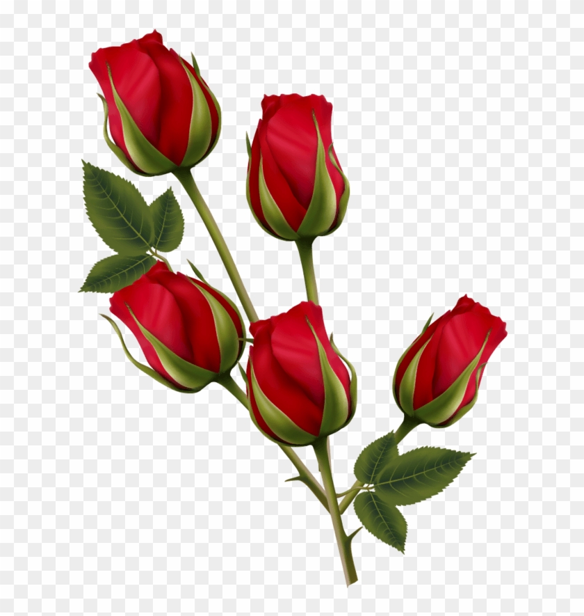 彩绘红色玫瑰花 - Valentine's Day #1244557