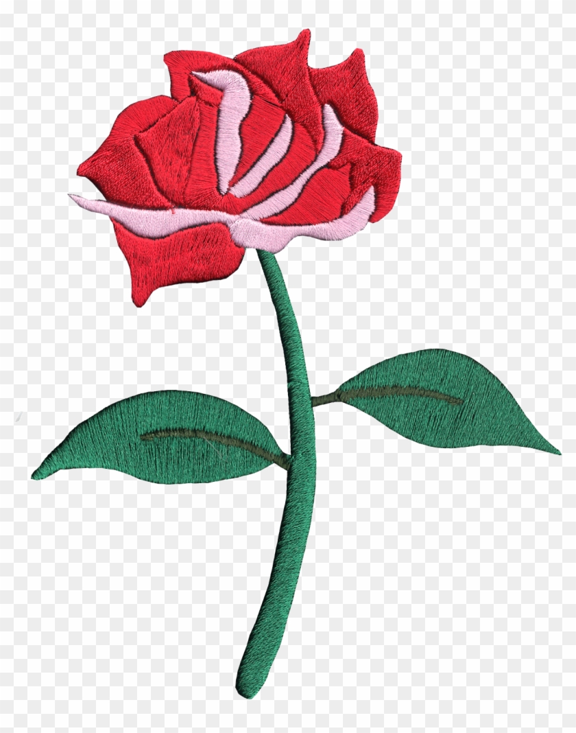 Hybrid Tea Rose #1244566