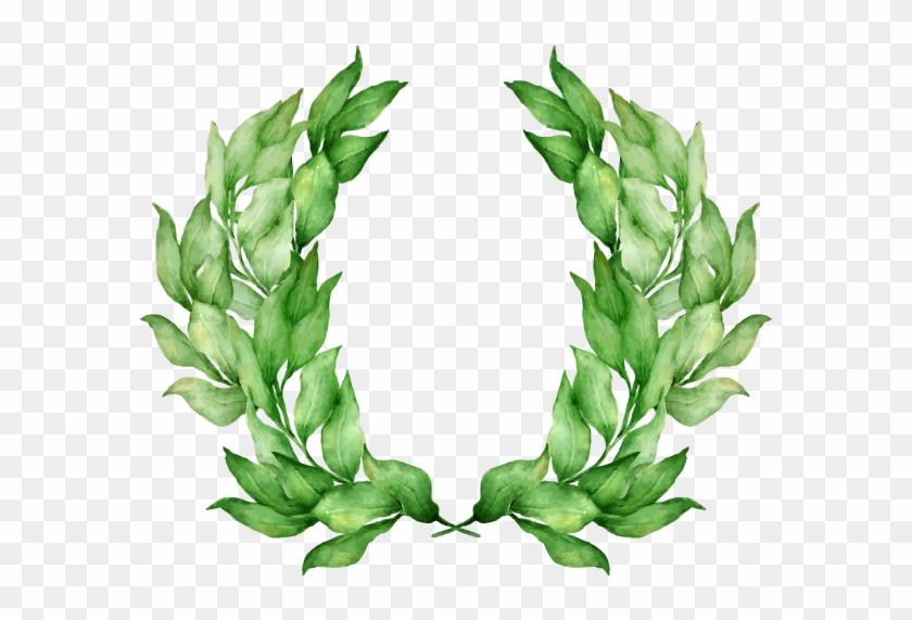 Laurel Wreath Olive Wreath Stock Photography Bay Laurel - Vector Graphics #1244794