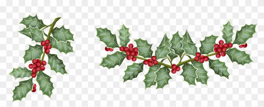 Imágenes De Flores De Navidad - Currant - Free Transparent PNG Clipart Images Download Imágenes De Flores De Navidad - Currant - Free Transparent PNG Clipart Images Download