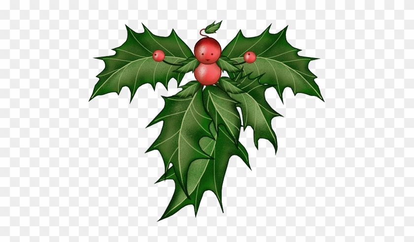 Houx,gui - Houx,gui #1244813