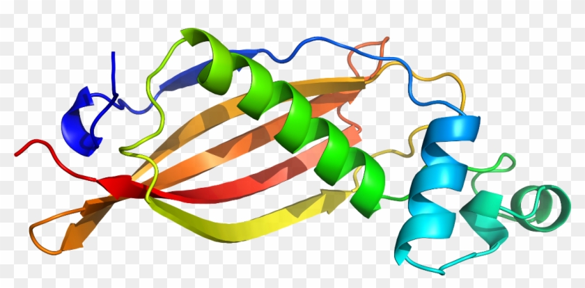 Graphic Design Leaf Clip Art - Graphic Design Leaf Clip Art #1245005