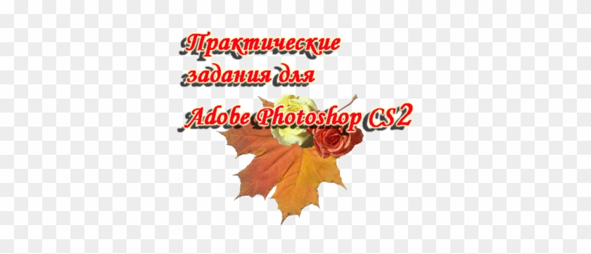 Практические Задания Для Adobe Photoshop Cs2 - Maple Leaf #1245006