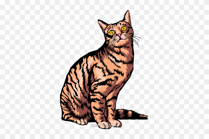Domestic Cat Royalty Free Vector Clip Art Illustration - Cat Vector #1245219