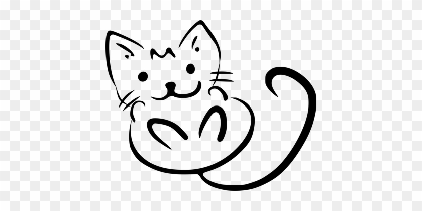 Animal Animals Cat Cats Cool Cats Cat Cat - Cool Cat Clip Art #1245256